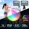 LED Beach Balls, 4 Pack 16 Inch Light up Beach Balls with Remote Control, Balloon Pump, 16 Colors Lights and 4 Light Modes Pool Toy for Pool Garden Decorations (2Pink+2Blue)